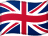 İngilizce (English)