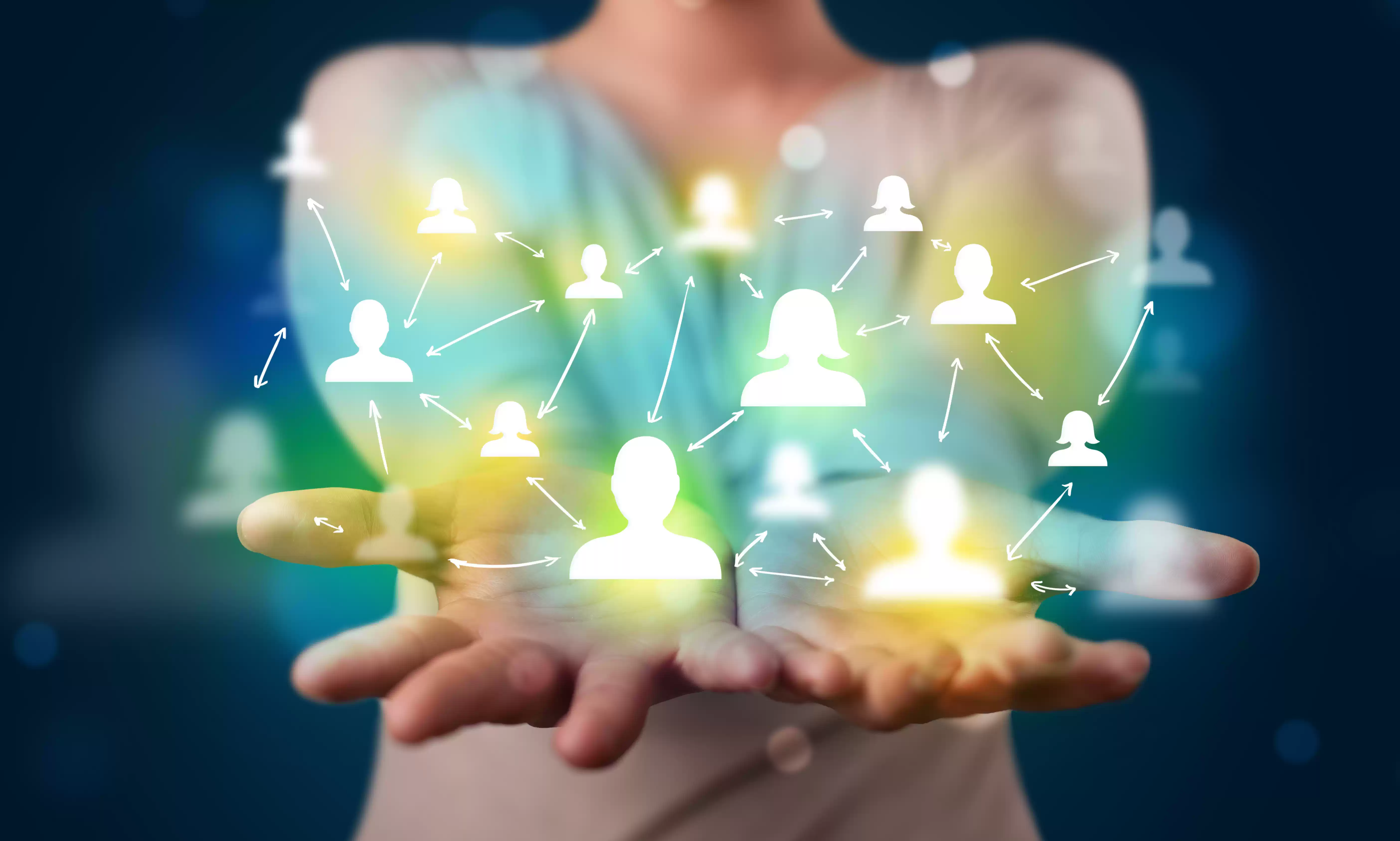 Synet Network
